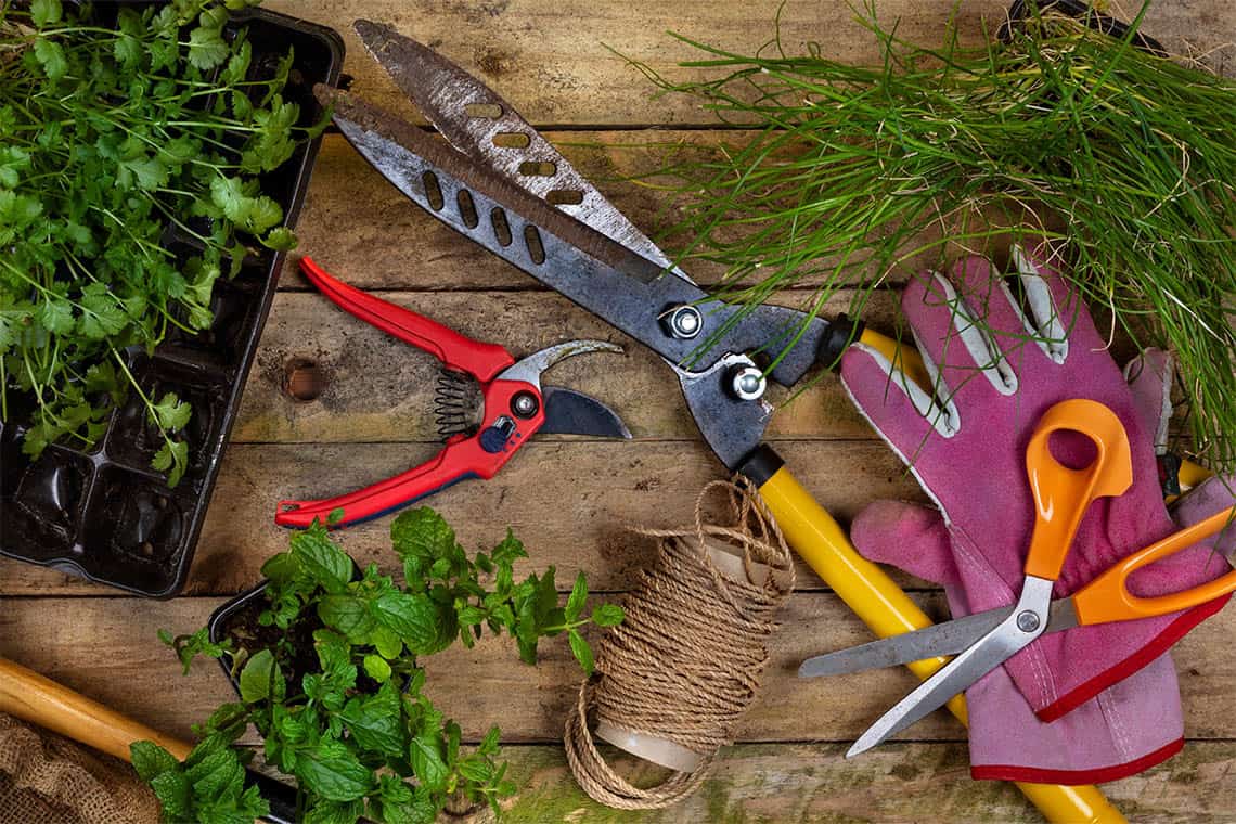 Gartenwerkzeuge wie Heckenschere, Zange, Handschuhe und Kräuter zum Einpflanzen, symbolisch für die Gartenarbeit von BR-Montage.