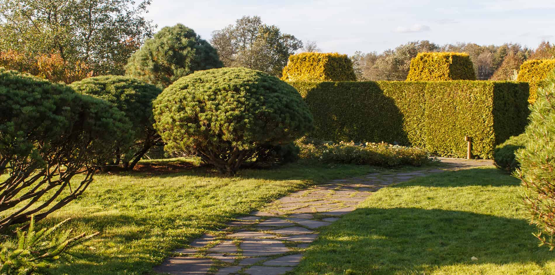 Ein sorgfältig gestalteter Garten, umgeben von hohen Hecken, die sowohl Sichtschutz als auch ästhetische Eleganz bieten