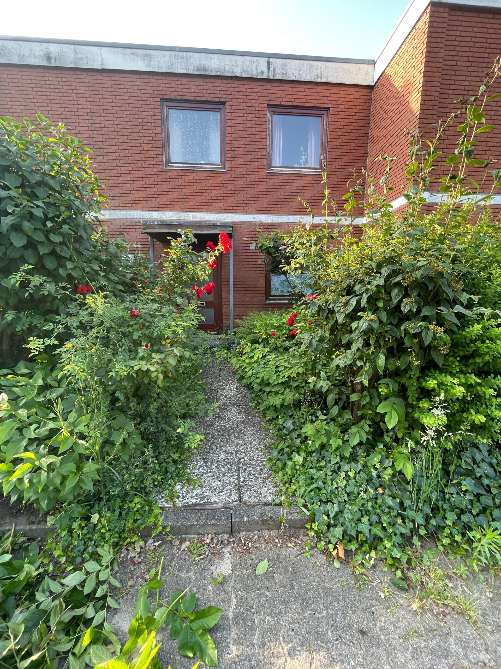 Eingang vorher nachher (2)
