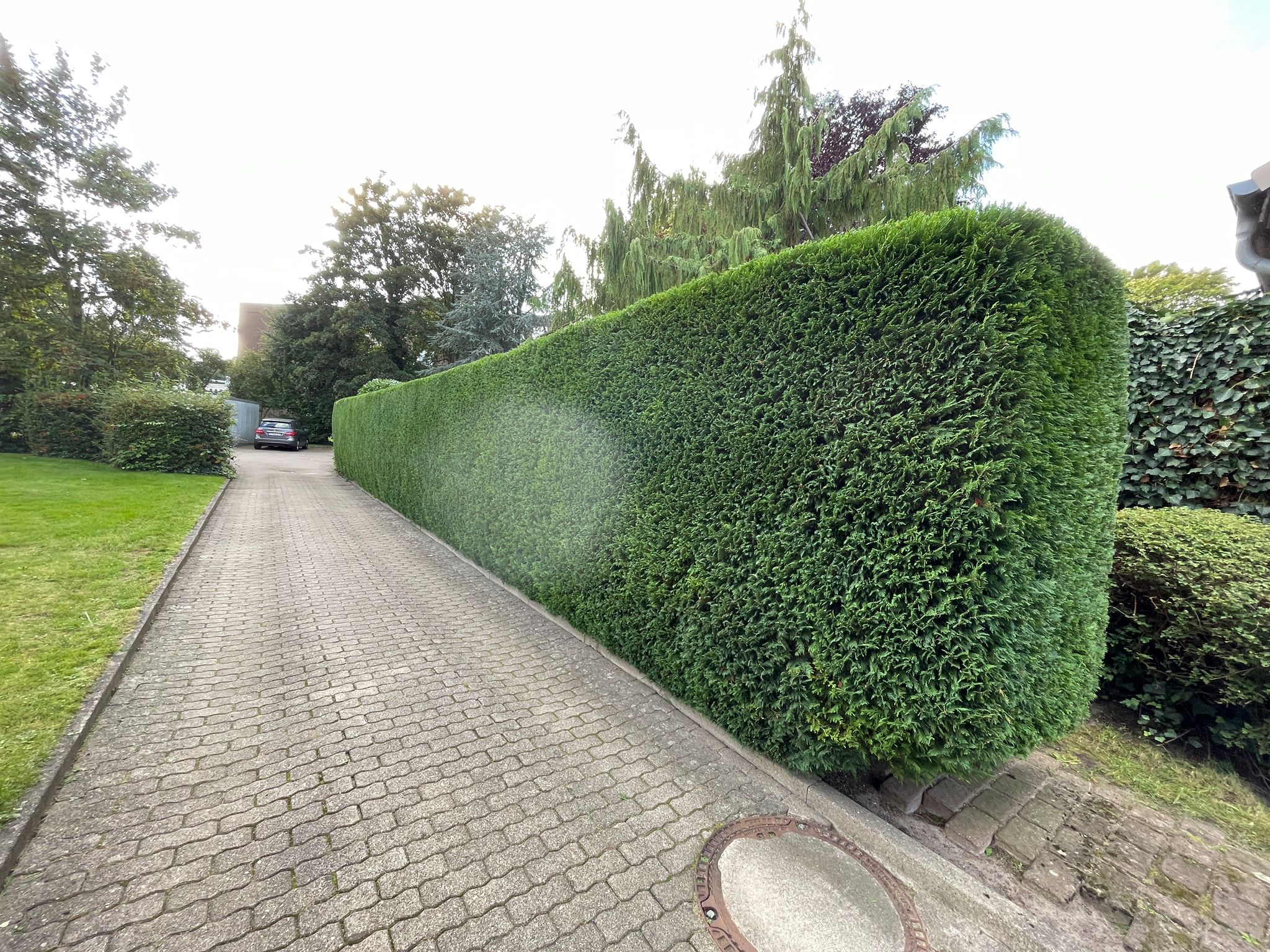 IMG 20230923 WA0027