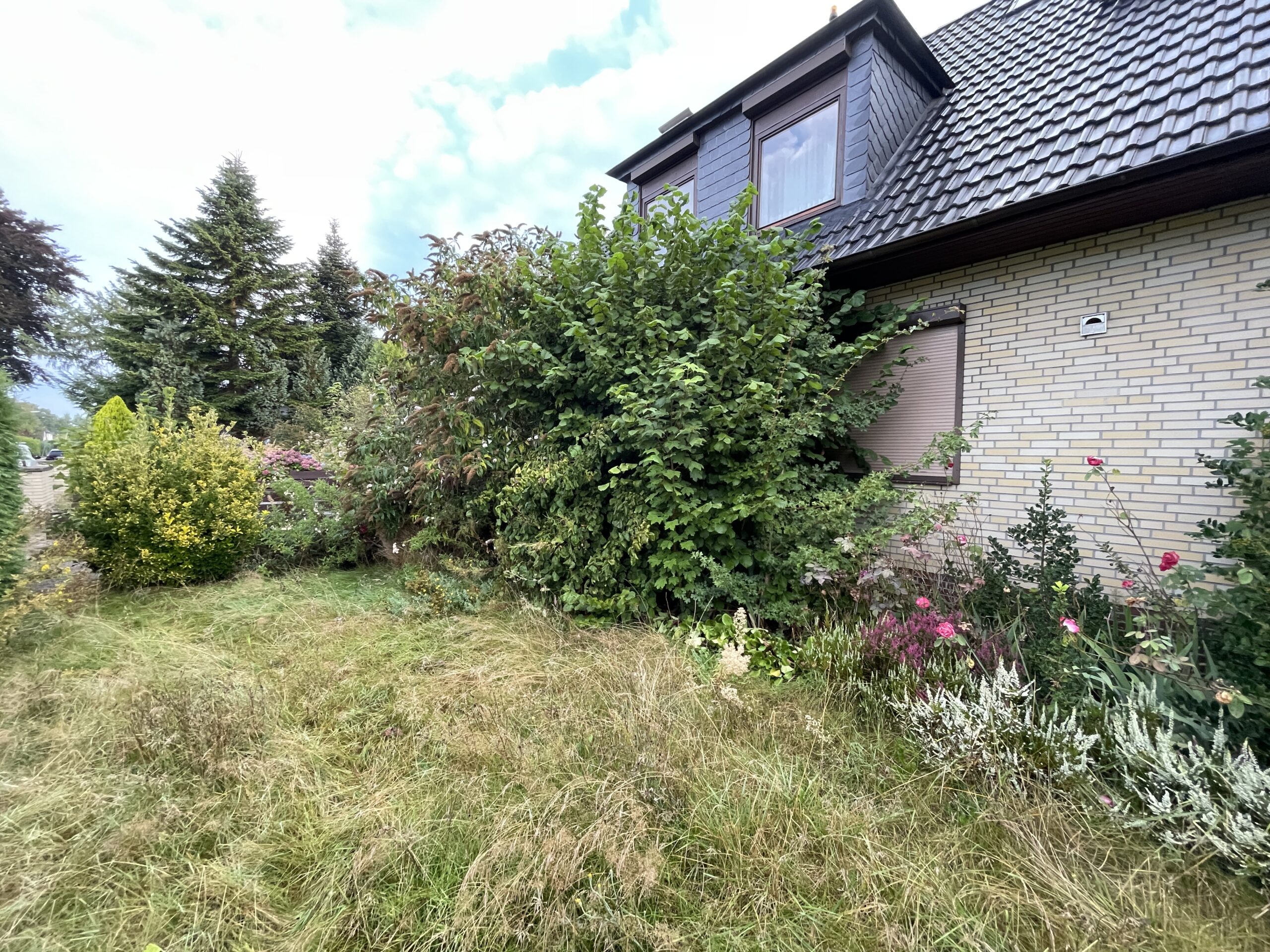 Pflege Garten und HEcke (2)