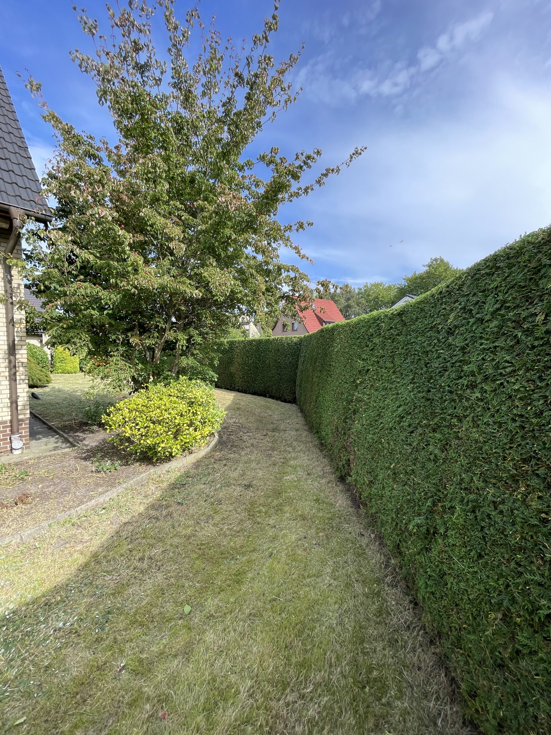 Säuberung Rasen und Garten (1)